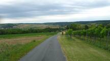  Blick auf die Wanderstrecke nach Glaubendorf 