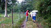  Blick auf die Wanderstrecke 