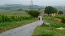  Blick auf die Wanderstrecke 
