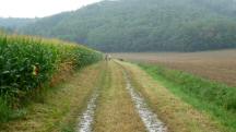  Blick auf die Wanderstrecke 