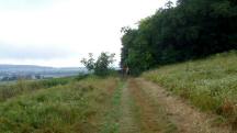  Blick auf die Wanderstrecke 