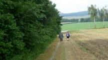 Blick auf die Wanderstrecke 