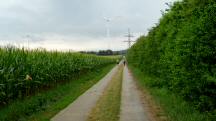  Blick auf die Wanderstrecke 
