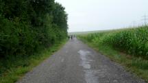  Blick auf die Wanderstrecke 