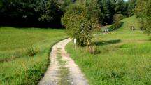  Blick auf die Wanderstrecke 
