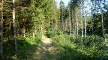  Blick auf die Wanderstrecke 