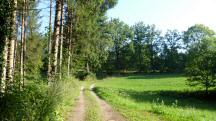  Blick auf die Wanderstrecke 