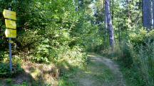  Blick auf die Wanderstrecke 