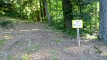  Blick zur Infotafel  Richtung Waldkapelle 
