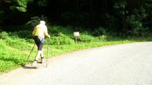 Blick auf die Wanderstrecke bei der 1. Streckenteilung