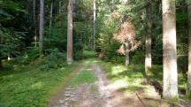  Blick auf die Wanderstrecke 