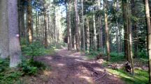  Blick auf die Wanderstrecke 