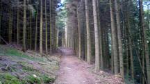  Blick auf die Wanderstrecke 