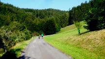 Blick auf die Wanderstrecke auf der Kapelleramtstrae bei Obergrub 