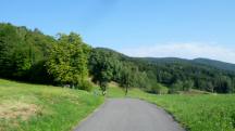 Blick auf die Wanderstrecke auf der Kapelleramtstrae