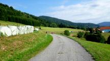 Blick auf die Wanderstrecke zur Gehftgruppe Nubichl