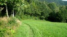 Blick auf die Wanderstrecke 