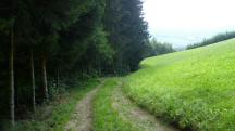  Blick auf die Wanderstrecke 