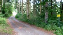  Blick auf die Wanderstrecke 