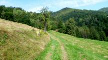  Blick auf die Wanderstrecke 