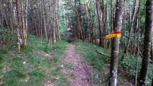  Blick auf die Wanderstrecke 