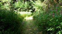  Blick auf die Wanderstrecke 