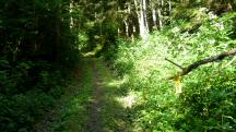  Blick auf die Wanderstrecke 