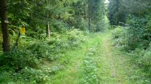  Blick auf die Wanderstrecke 