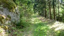 Blick auf die Wanderstrecke 