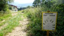  Blick auf die Wanderstrecke mit einer guten Infotafel 