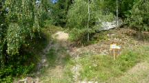  Blick auf die Wanderstrecke beim Gehft Stein 