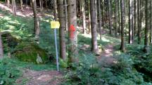 Blick auf die Wanderstrecke 
