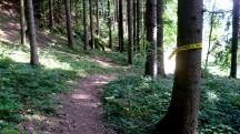  Blick auf die Wanderstrecke 