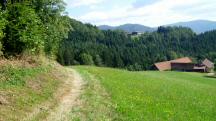Blick auf die Wanderstrecke beim Gehft Weyretzberg