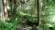  Blick auf die Wanderstrecke 