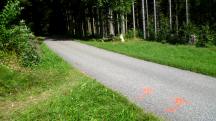  Blick auf die Wanderstrecke 