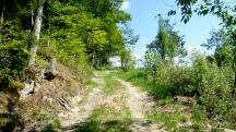  Blick auf die Wanderstrecke 