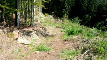  Blick auf die Wanderstrecke 