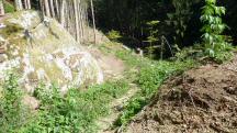  Blick auf die Wanderstrecke 