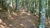  Blick auf die Wanderstrecke 