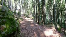  Blick auf die Wanderstrecke 