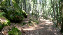 Blick auf die Wanderstrecke 