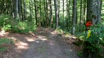  Blick auf die Wanderstrecke 