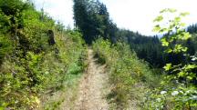  Blick auf die Wanderstrecke 