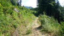  Blick auf die Wanderstrecke 