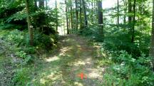  Blick auf die Wanderstrecke 