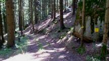  Blick auf die Wanderstrecke 
