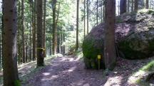  Blick auf die Wanderstrecke 