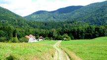  Blick auf die Wanderstrecke zum Gehft Hoffeld 