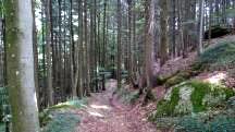  Blick auf die Wanderstrecke 